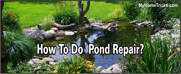 Pond Repair