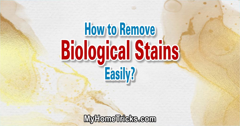 How to Remove Biological Stains Easily?