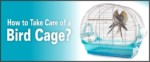 caring of a bird cage