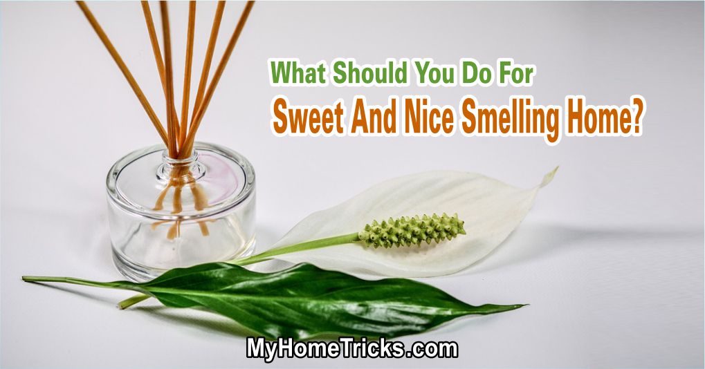 What Should You Do For Sweet And Nice Smelling Home?